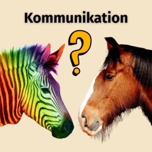 Soziales Kompetenztraining