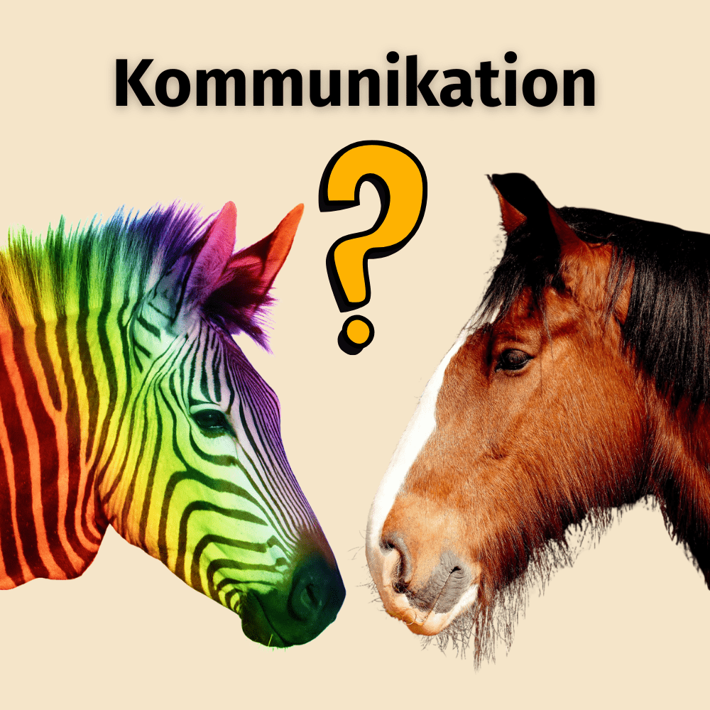 Soziales Kompetenztraining